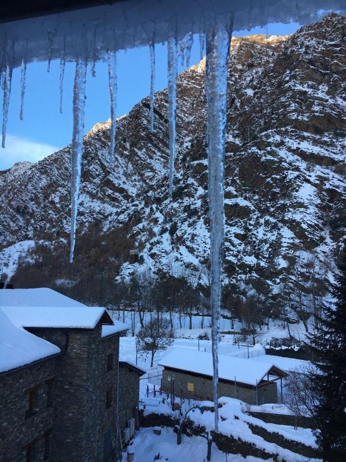 Montana Alins