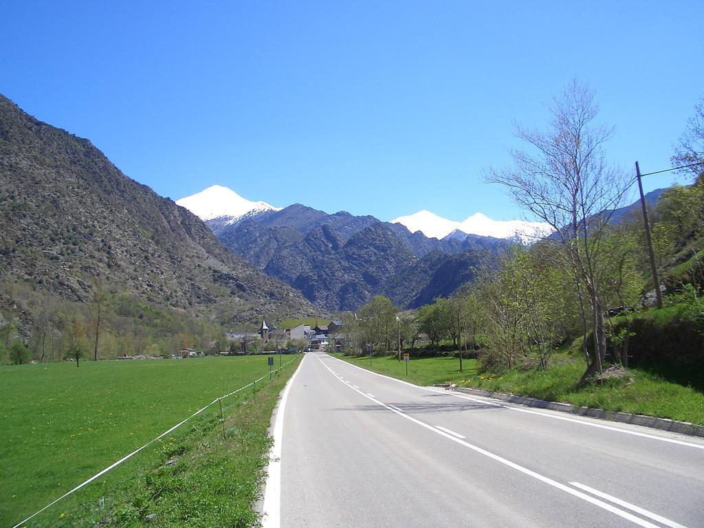 Montana * Alins